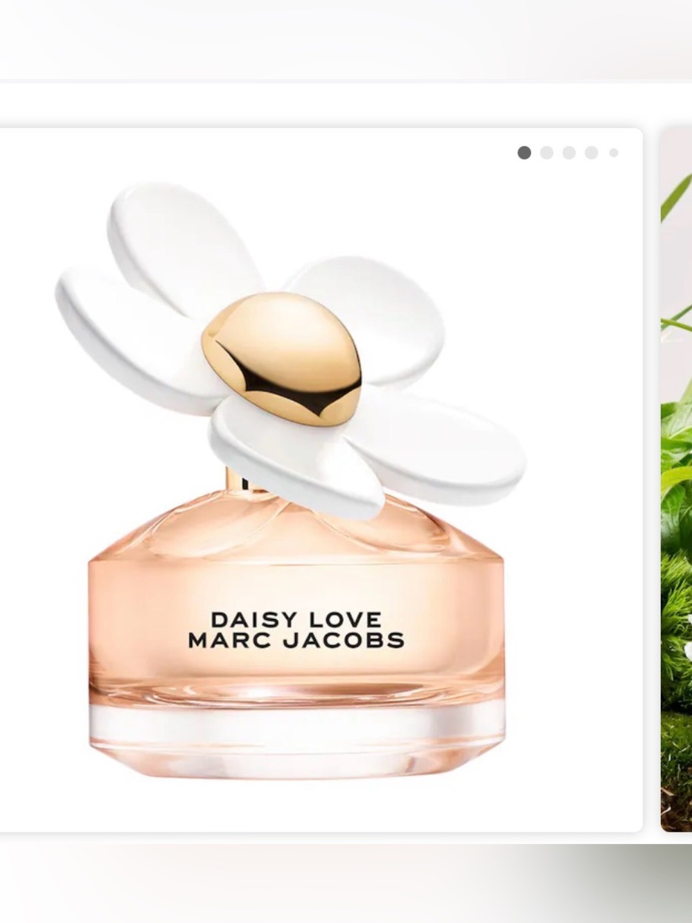 FREE//Daisy Love Marc Jacobs Sample
